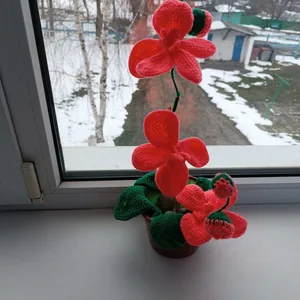 Орхидея