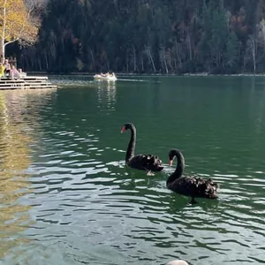 Осень в Сибири