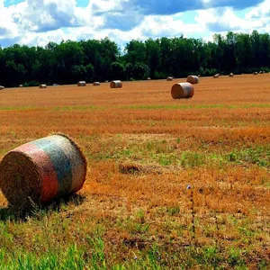 Уголки России