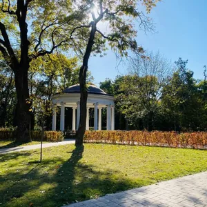 Лето в парке