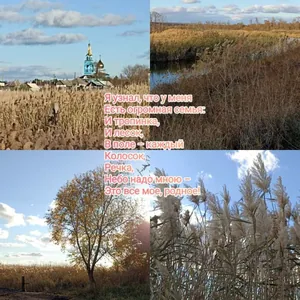 Родные просторы