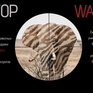 Экологические проблемы в мире