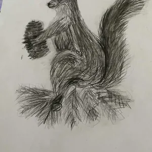 Белка