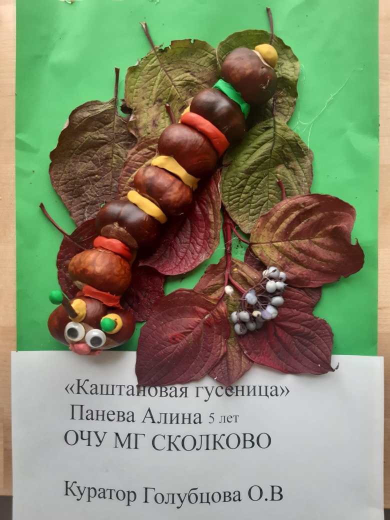 "Каштановая гусеница"