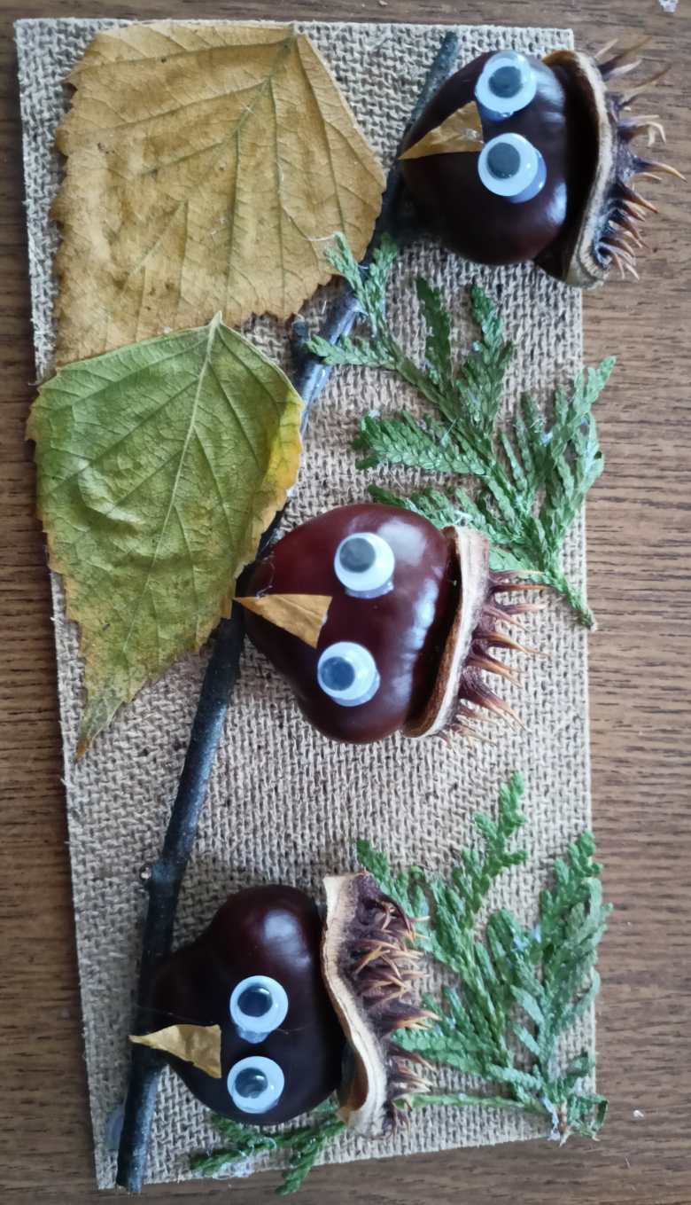 Птицы на ветке