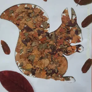 Осенняя белочка