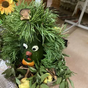 Кабачковое чудо