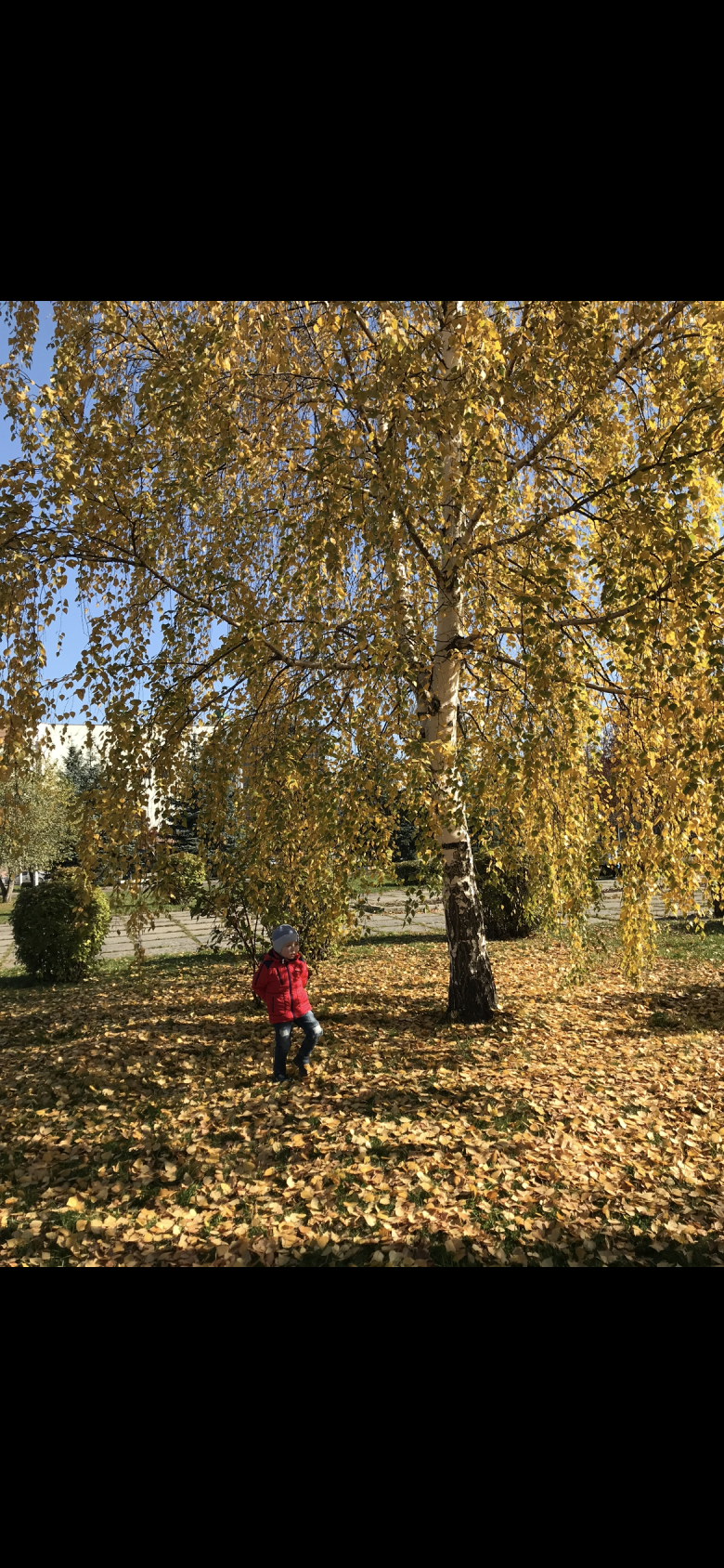 Моя осень