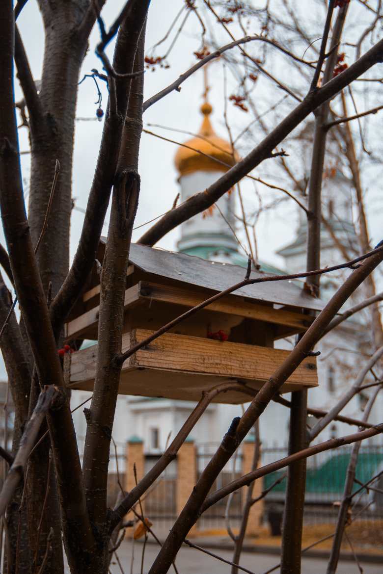 С заботой о пернатых