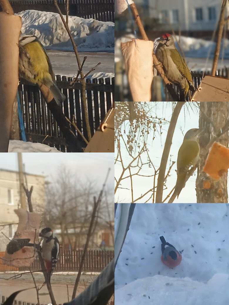 Наши любимые гости