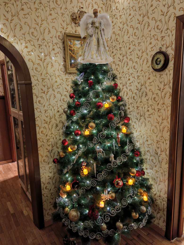 Рождественская красавица