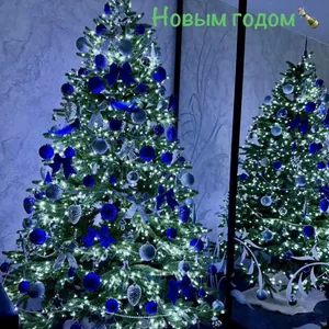 Синяя красавица