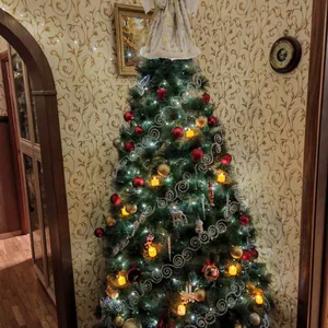 Рождественская красавица
