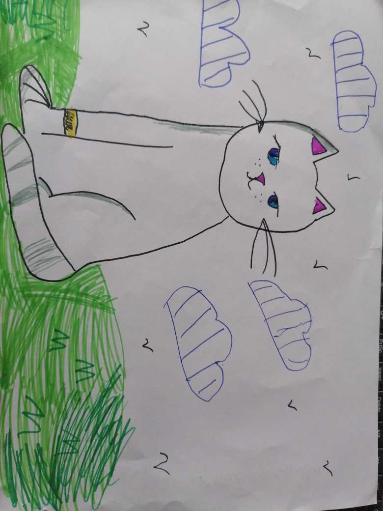 Котик