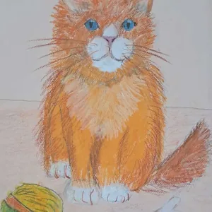 Любимый кот