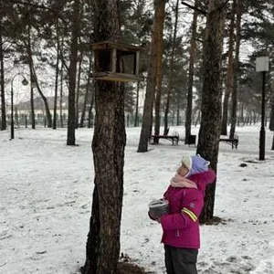 Помогаем пернатым друзьям