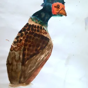 Фазан