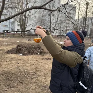 Экокормушка