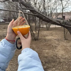 Экокормушка