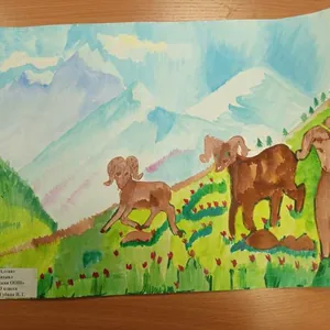 В горах Алтая