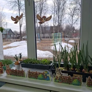Огород лесных зверей.