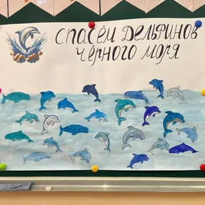 Спасем дельфинов Черного моря