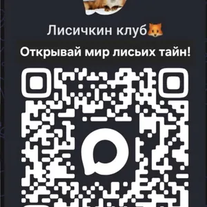 Любопытства ради: почему у лисы особая окраска?»
