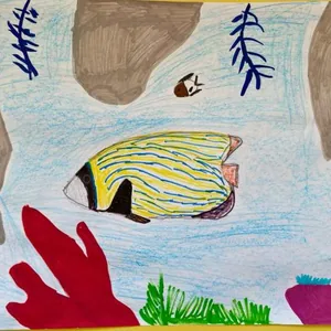 Морская жизнь