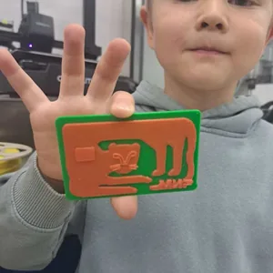 Карта МИР "Тигр"