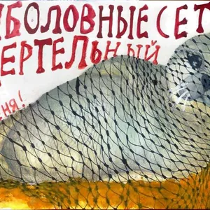 Рыболовные сети - смертельный враг для тюленя!