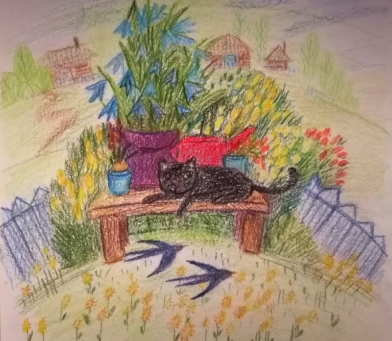 Цветы.Коты