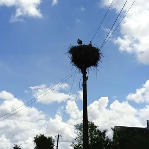 Бескрайние просторы