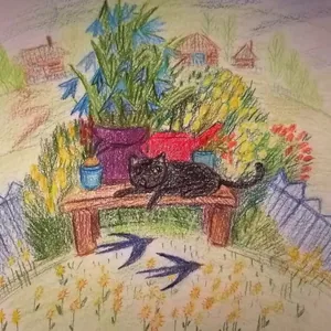 Цветы.Коты