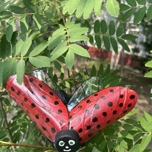 Эко Божья коровка