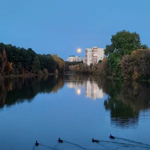Осенний парк