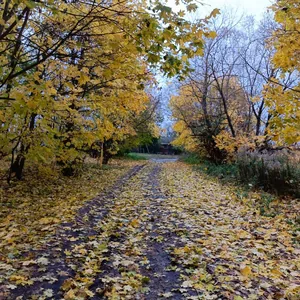 Уютная осень