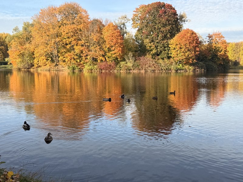 Разноцветная осень